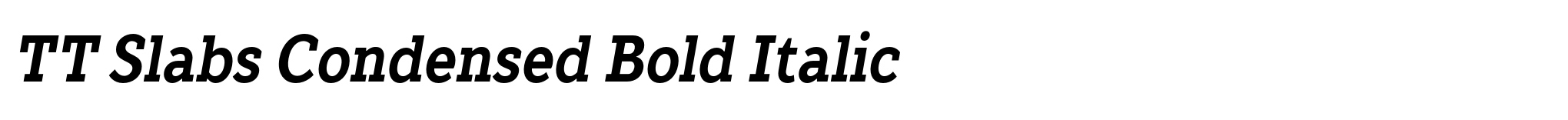 TT Slabs Condensed Bold Italic image